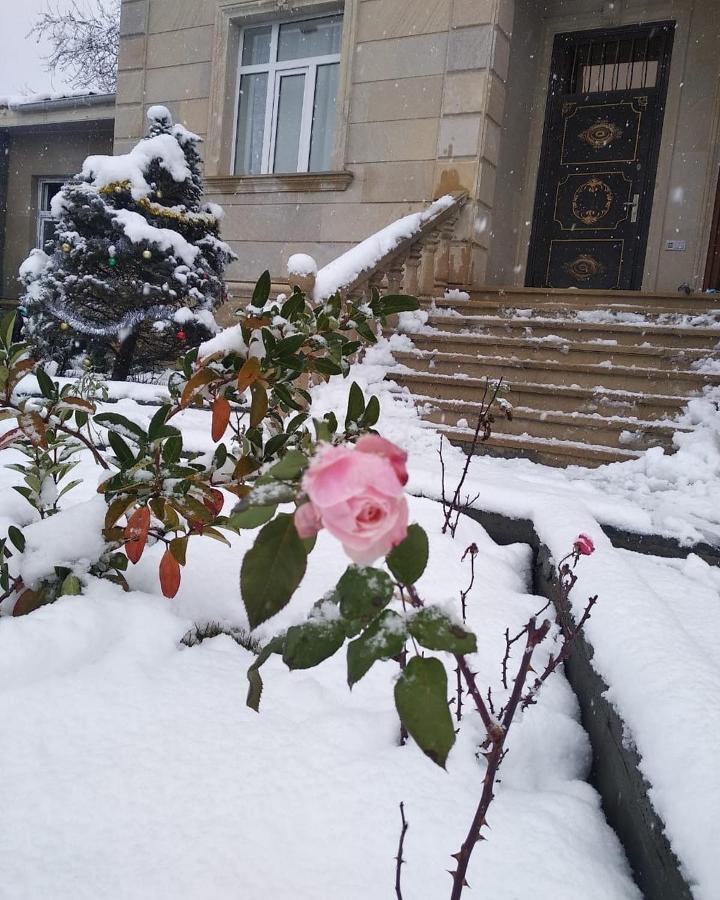 Allseasons Hotel Gabala Kültér fotó